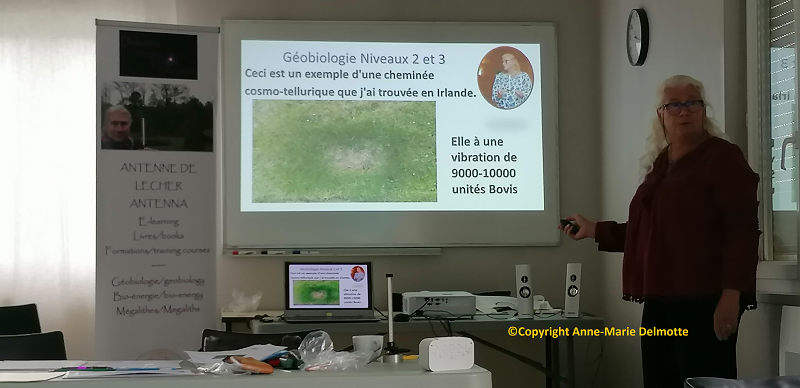 cheminée cosmotellurique antenne lechere