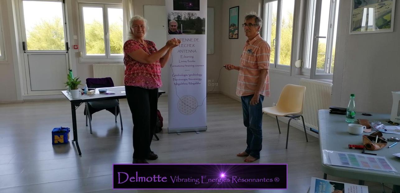 antenne de lecher formation bio delmotvibres