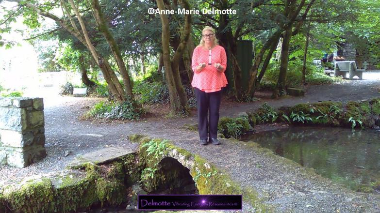 Photo du cours antenne de Lecher geobiologie