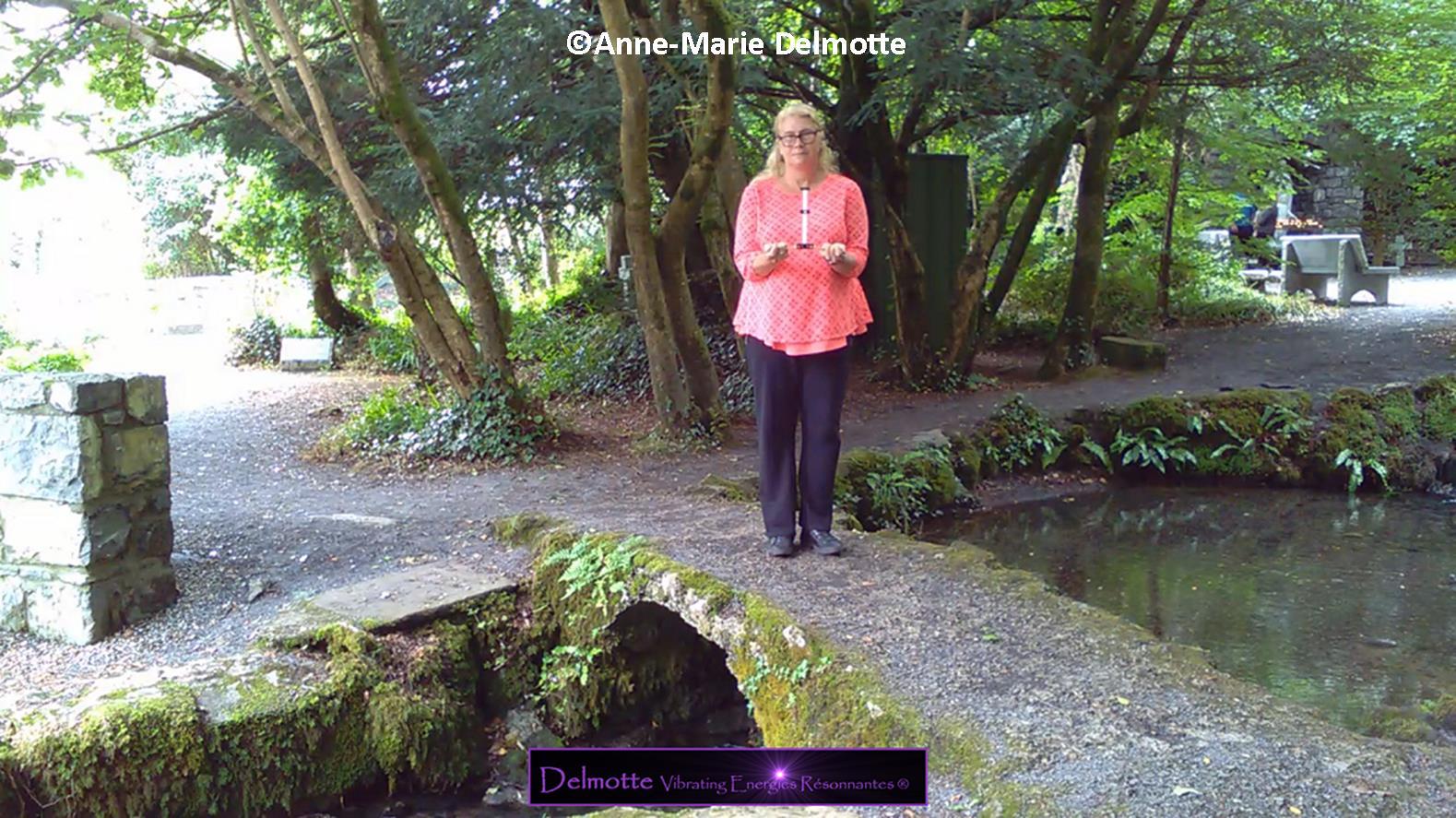 FORMATION/COURS ANTENNE DE LECHER GEOBIOLOGIE PRATIQUER LA RADIESTHESIE