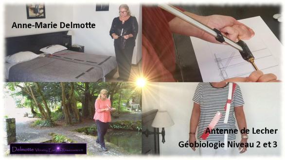 Formation antenne Lechere geobiologie niveaux intermédiaires